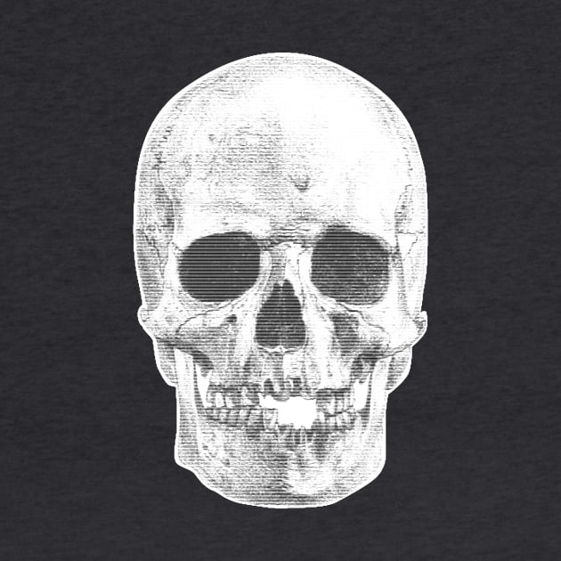 Just a skull by WFDJ